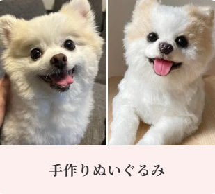 おみおくりペット火葬-10-28-2025_03_27_PM