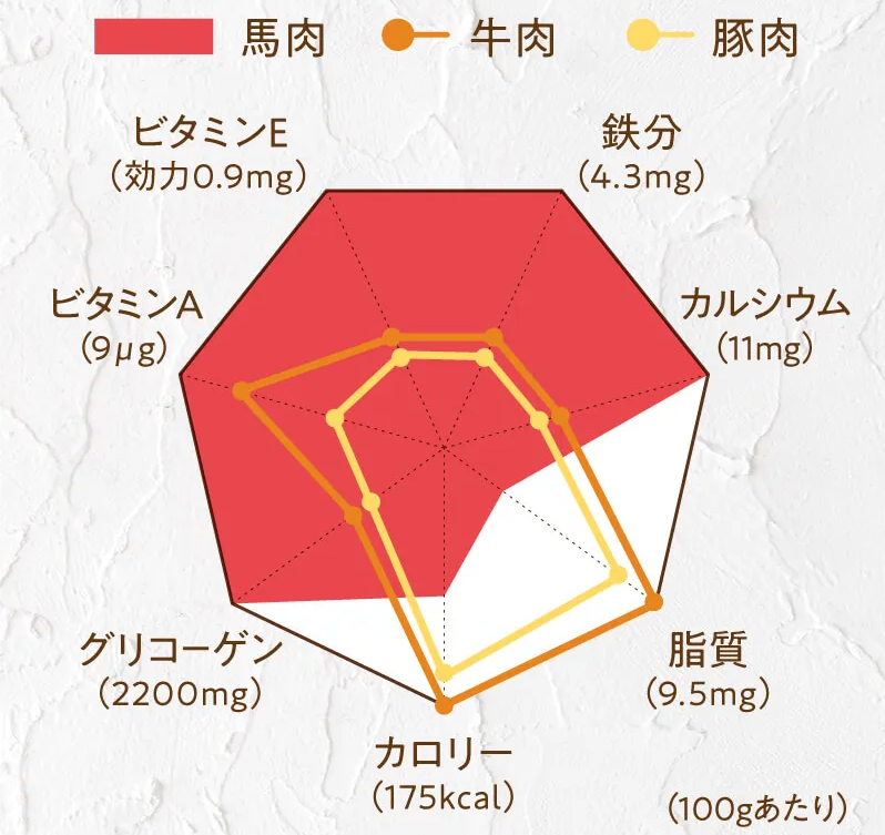 馬肉自然づくり-定期便-ドッグフードの通販-健康いぬ生活-10-29-2025_04_08_PM